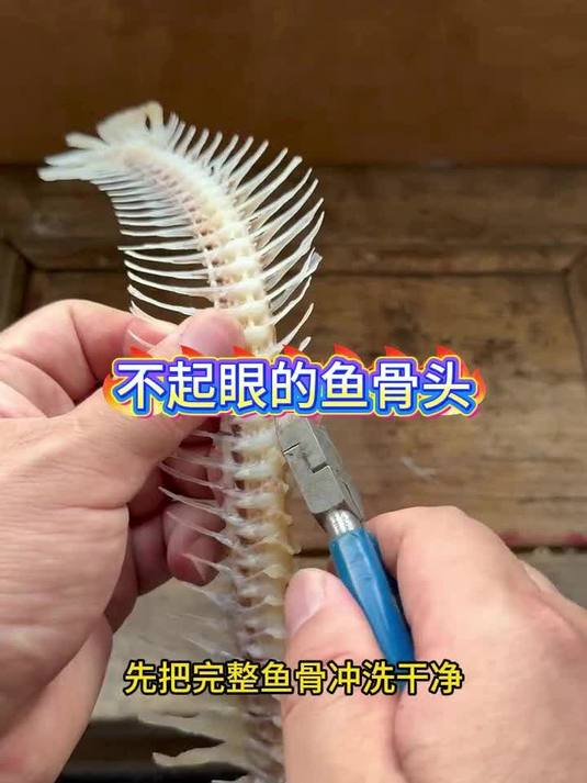 吃完的鱼骨别丢，做成手串惊艳所有人