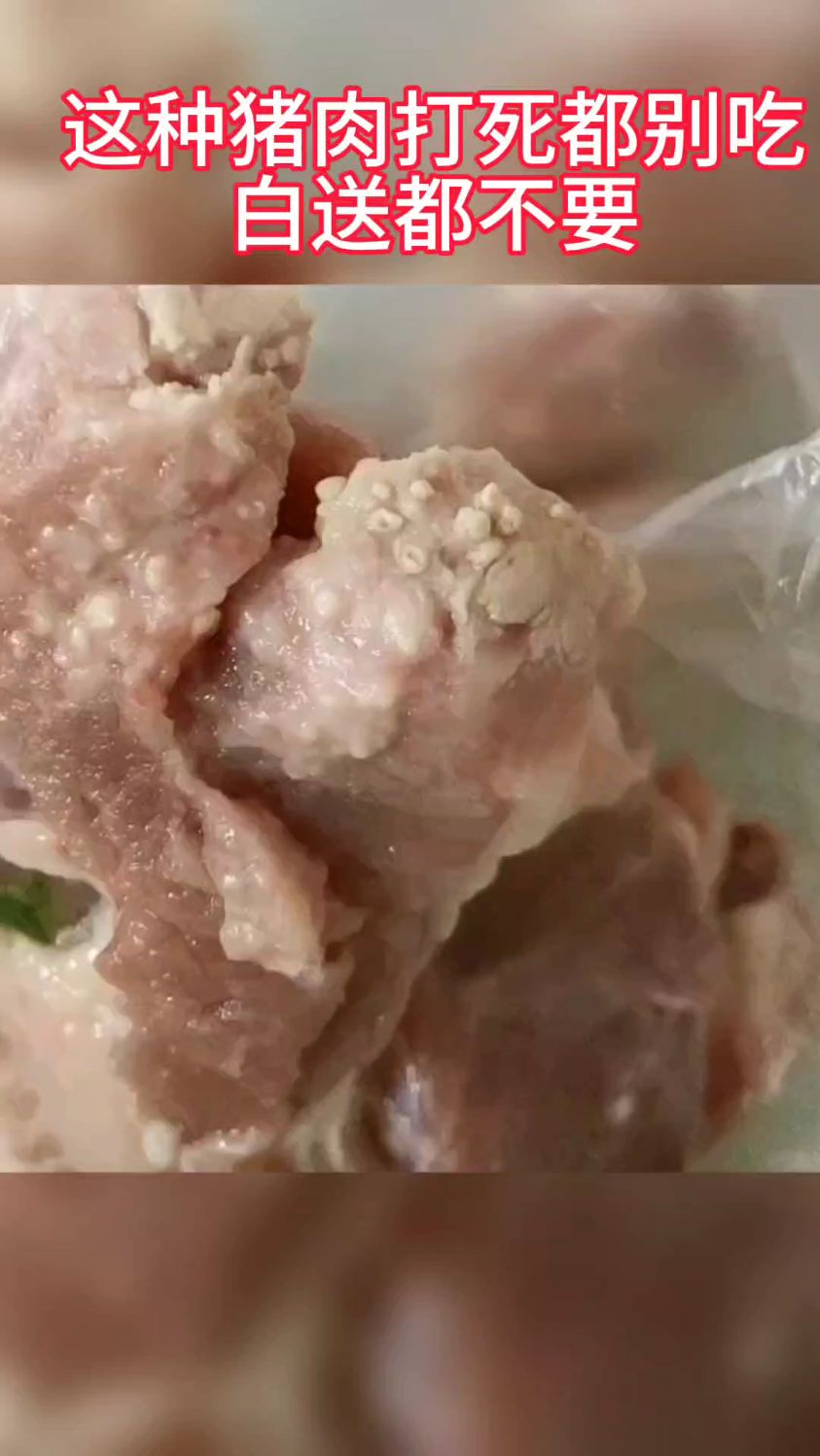 爱吃猪肉的注意啦!