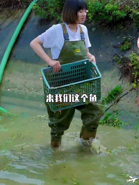 母亲节花900块包下奶奶家的红鲤鱼塘！