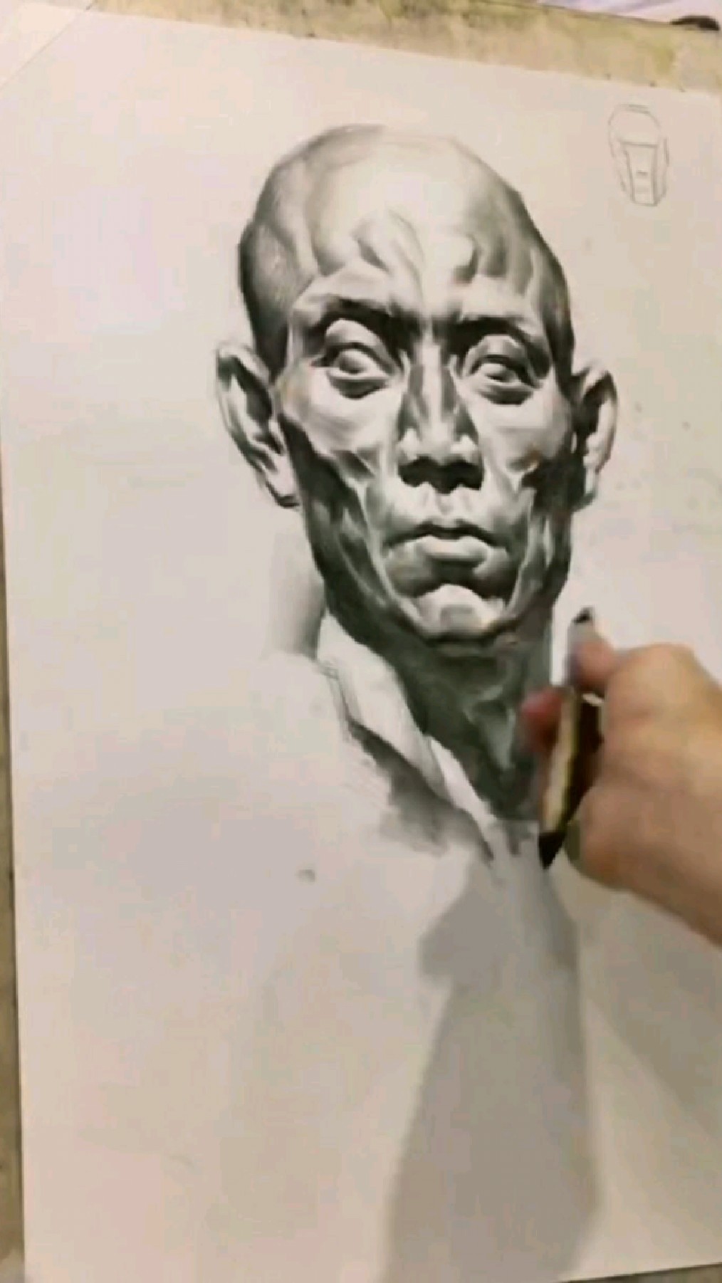 素描头像石膏像脸部肌肉