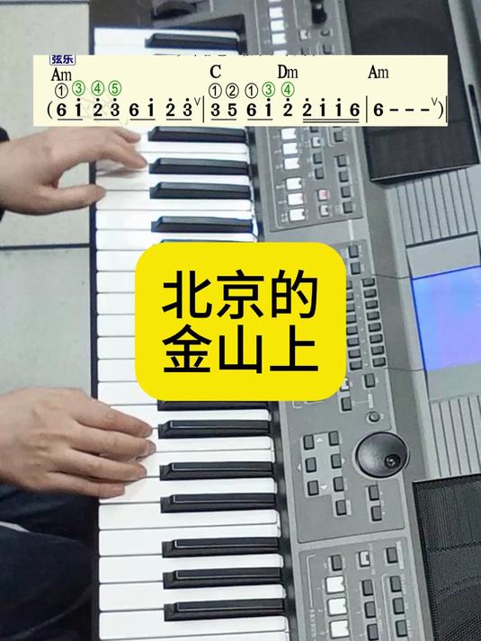 电子琴演奏：北京的金山上