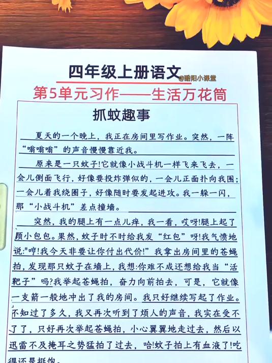 四年级第五单元习作《生活万花筒》,3篇400字优秀作文,收藏练习