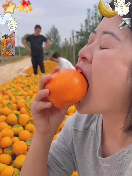 正宗巧克力柿子，果肉细腻，天然香甜超好吃！#春节#