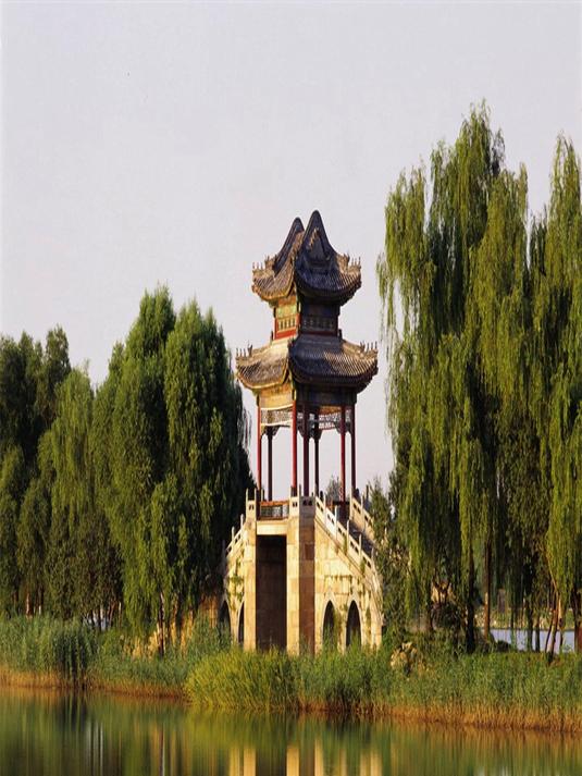 好物推荐小熊叠叠锅家用烤涮蒸煎焖焗电煮锅分体电火4883