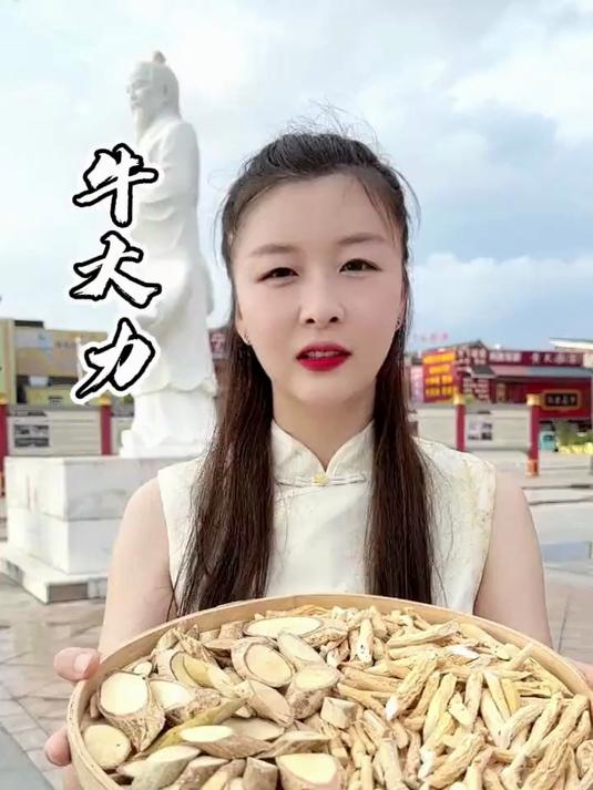 告别寡淡汤品!牛大力配土茯苓、五指毛桃的经典药膳攻略