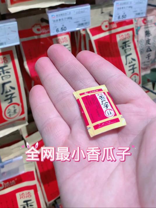 迷你厨房最小瓜子