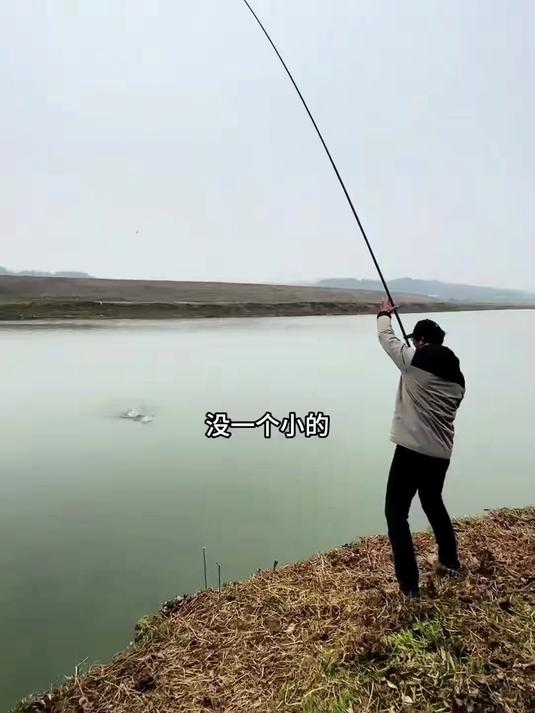 刘志强5311全能综合饵料，一年四季可用，通钓各种湖库，一包单开即可无需复杂搭配#鱼饵推荐