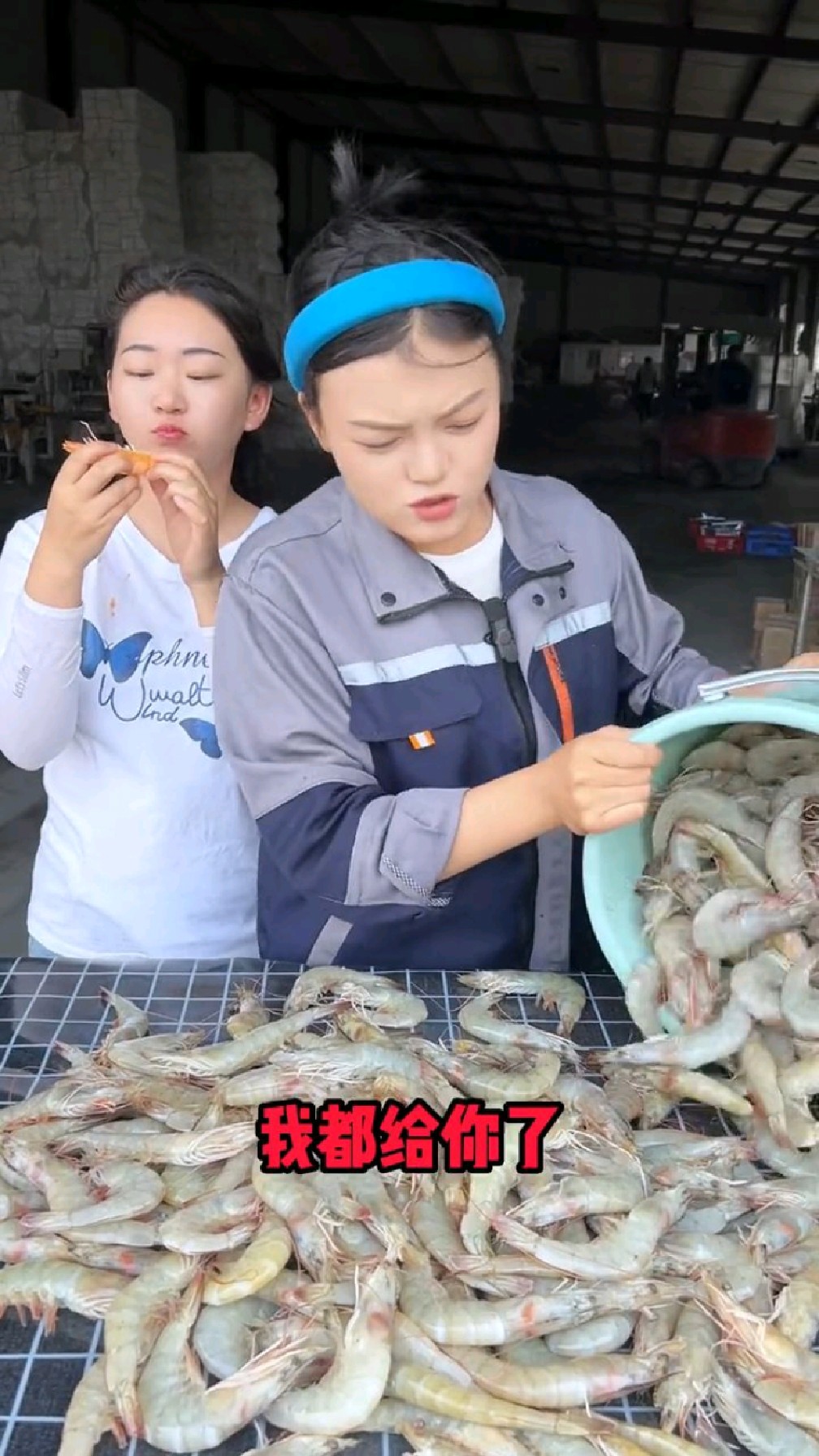 新鲜的大海虾