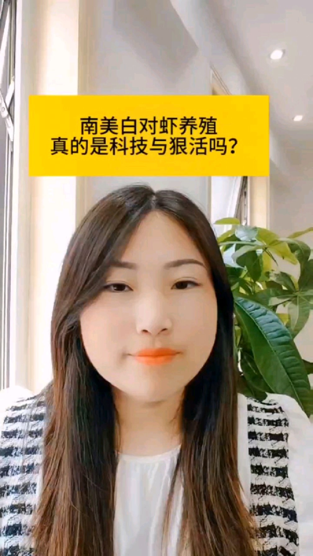 南美白对虾养殖真的是科技与狠活吗?