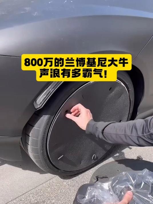 价值800万的兰博基尼大牛,声浪有多霸气!