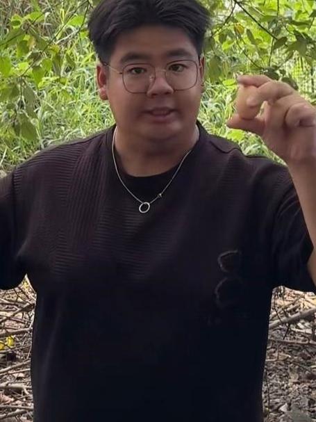 什么才是土鸡蛋呢?