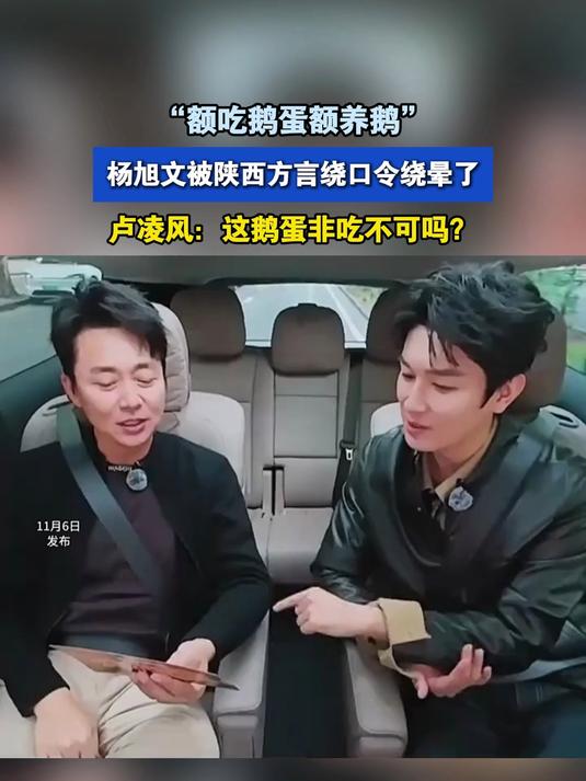 杨旭文被陕西方言绕口令绕晕了!卢凌风:这鹅蛋非吃不可吗?