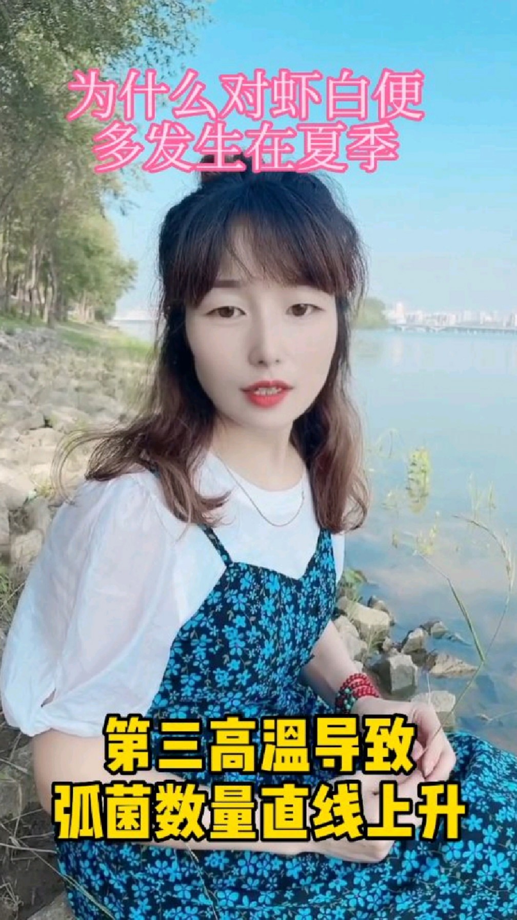 为什么对虾白便多发生在夏季