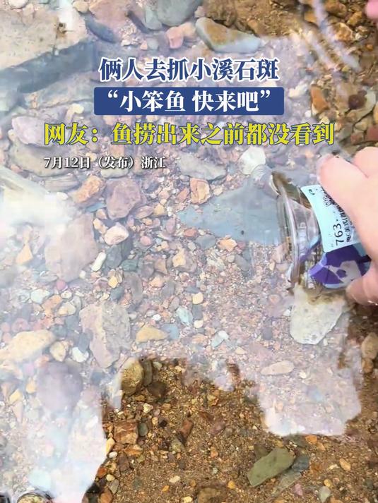 俩人去抓小溪石斑，小笨鱼，快来吧，网友：鱼捞出来之前都没看到