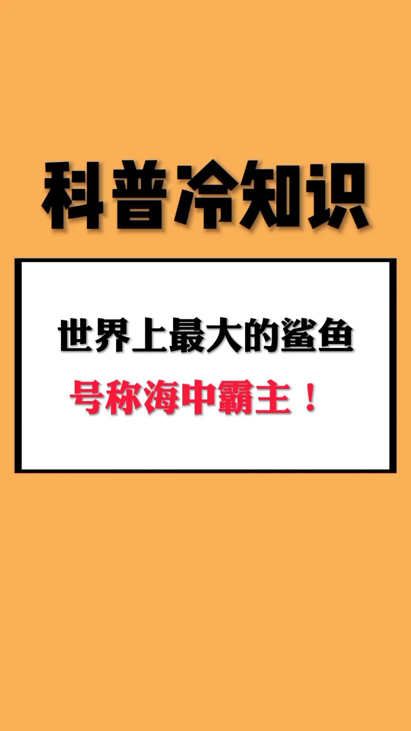 世界上最大的鲨鱼,号称海中霸主