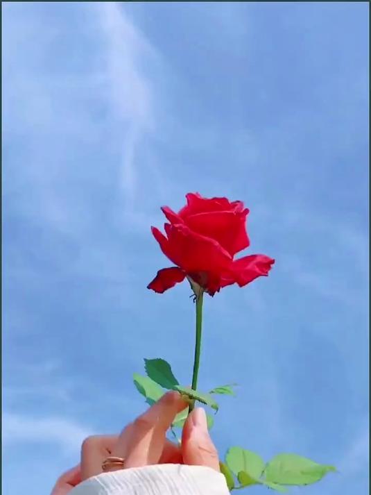 家常小炒酱,一酱在手,炒菜无忧!