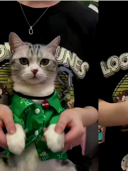 大家最喜欢泡芙的哪套装扮呢?