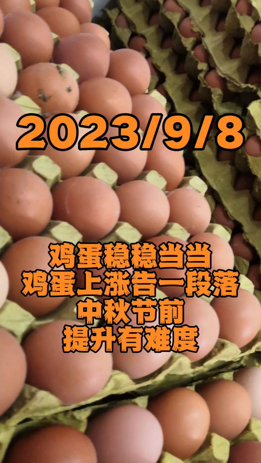 给大家汇报一下9月8号的鸡蛋价格,今日全国各大市场鸡蛋价格,稳定为主。北京地区44斤