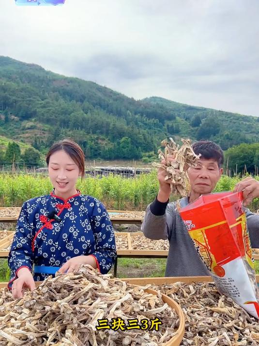 高山鹿茸菇来啦脆过银耳鲜香浓郁煲汤炒菜凉拌的神奇山珍99%的人没吃过的养生珍品菇农产地直发