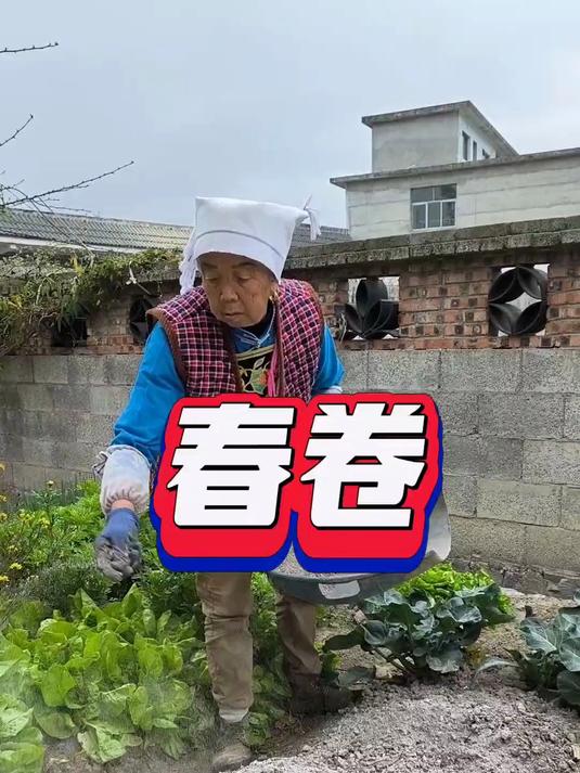 趁着春光,给妈妈安排一个西式早餐