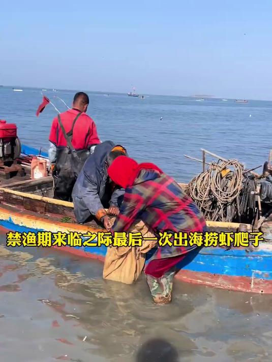 141. 出海打捞的满籽皮皮虾，清蒸起来究竟能有多鲜