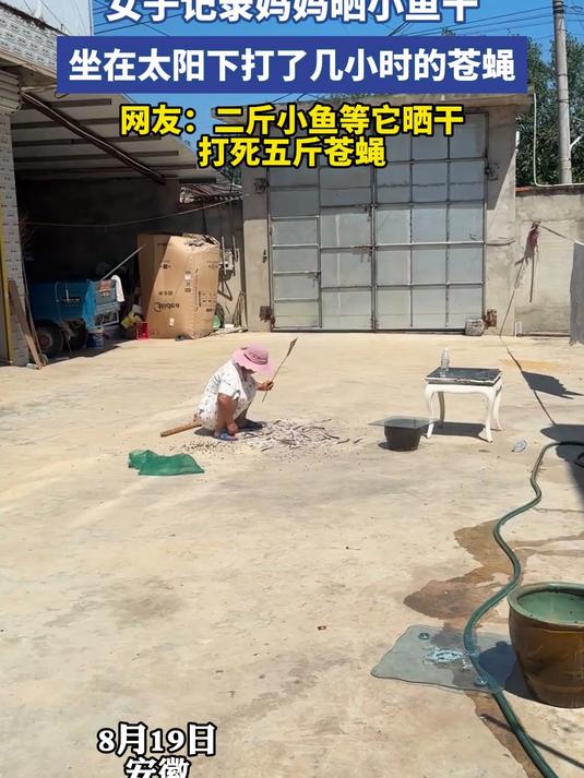 女子记录妈妈晒小鱼干,坐在太阳下打了几小时的苍蝇