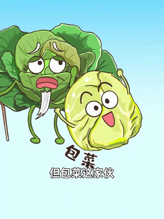 包菜、紫甘蓝、菜花、西蓝花，他们四个是兄弟？