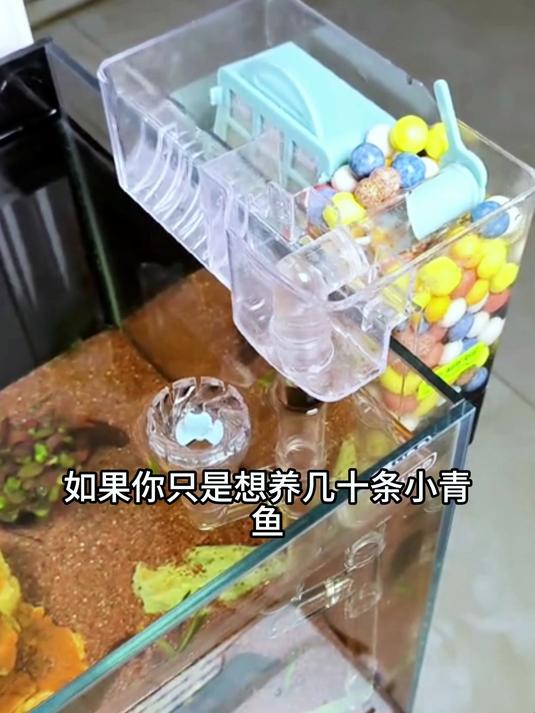 小鱼缸可以选择这个上置过滤器,精致小巧过滤效果好