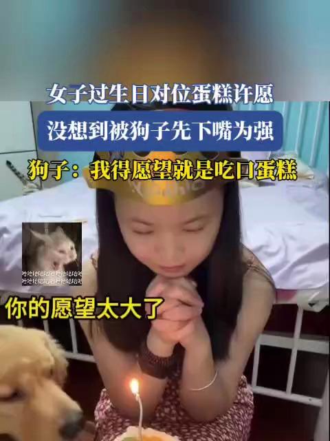 女子过生日对位蛋糕许愿，没想到被狗子先下嘴为强