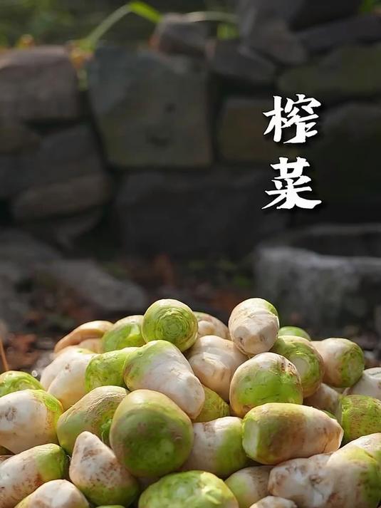 大头菜制作的榨菜丝咸香爽脆 开胃下饭