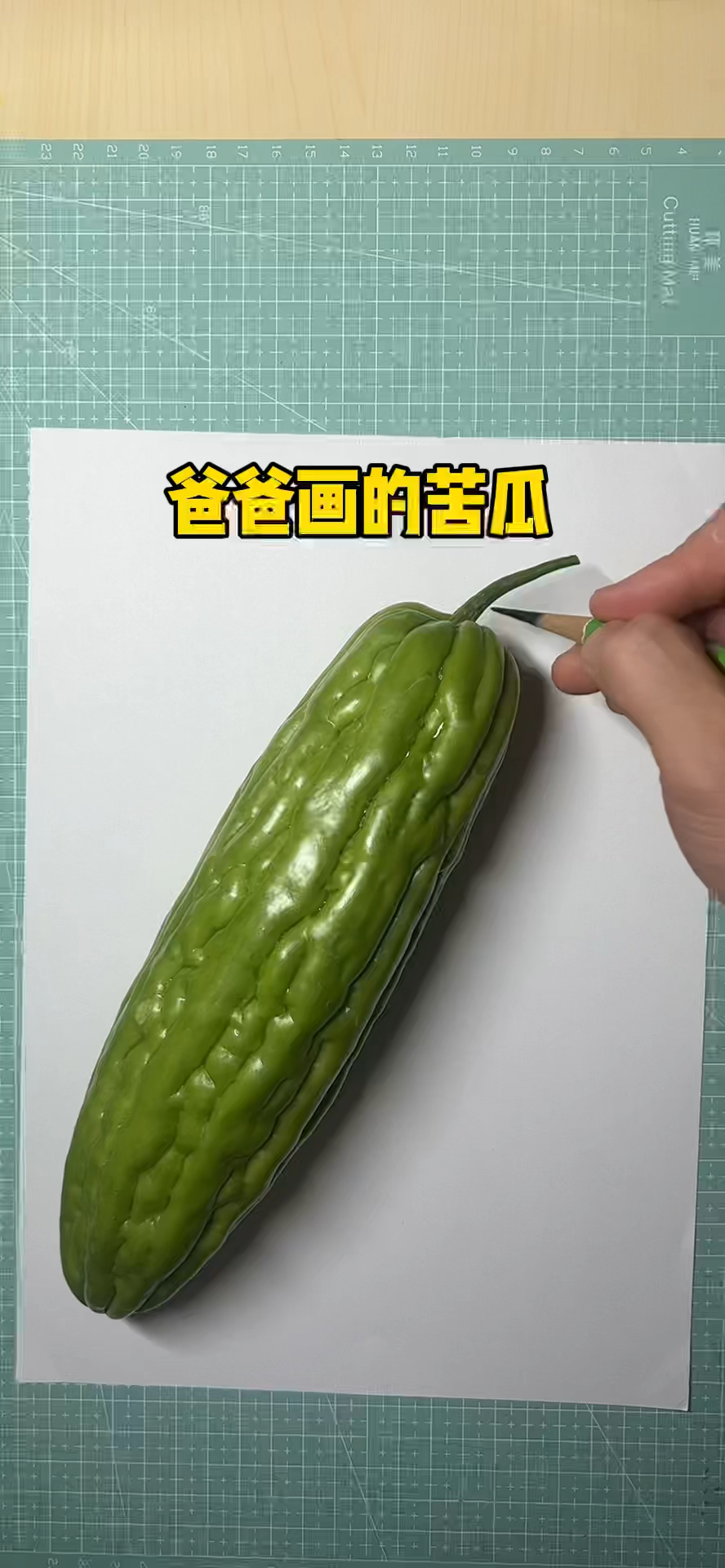 爸爸画的苦瓜和我用幼儿园油画棒画的苦瓜,你喜欢谁画的?