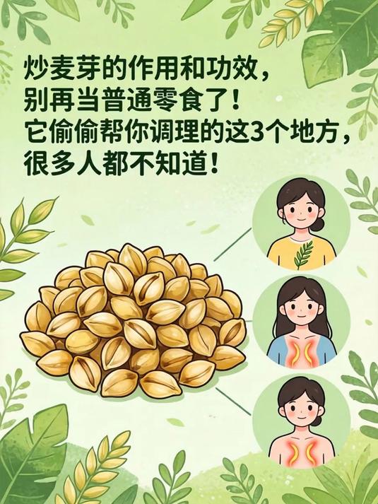 炒麦芽的作用和功效,别再当普通零食了!它偷偷帮你调理的这3个地方,很多人都不知道!