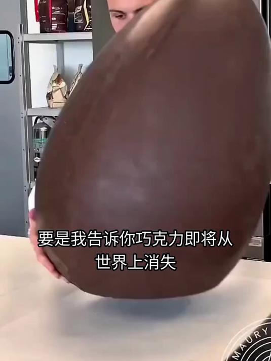 要是我告诉你巧克力即将从世界上消失