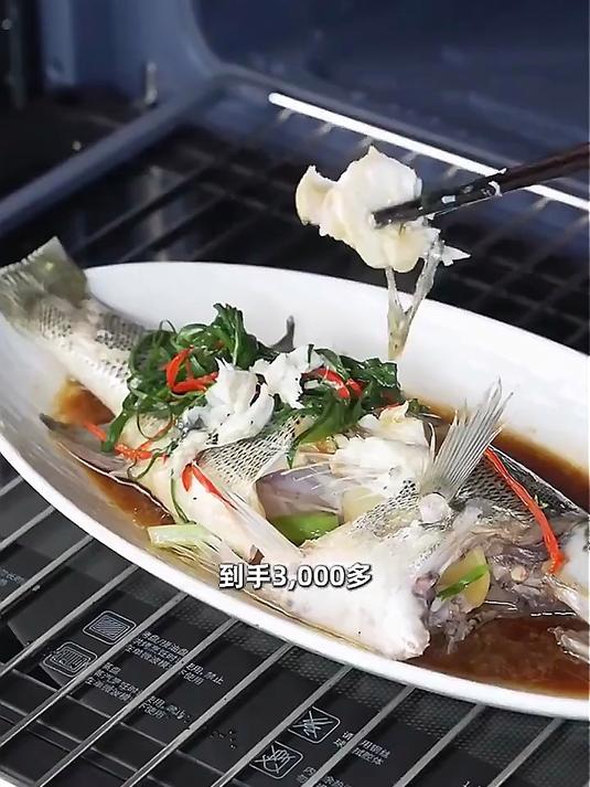 凯度(CASDON)「双热风」56L蒸烤箱一体机嵌入式 家用 烘焙蒸箱 烤箱 蒸烤炸炖四合