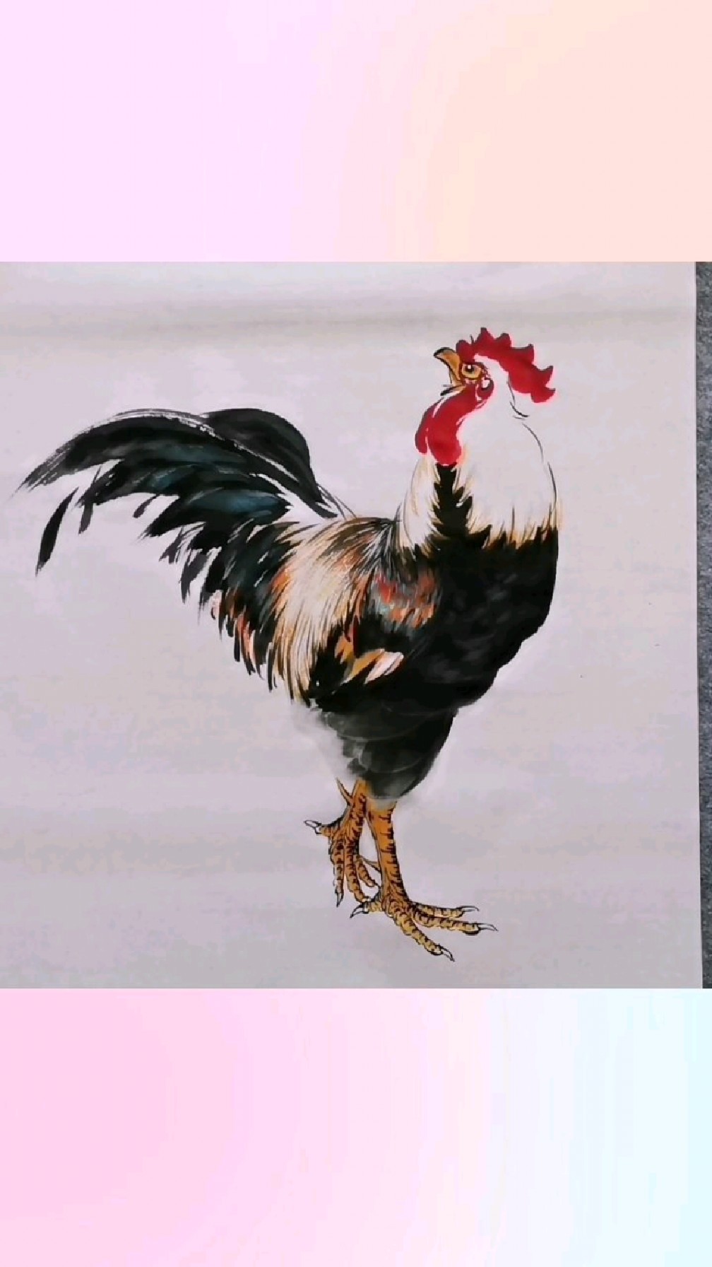 王兴民国画公鸡:王老师,绘画公鸡独特方法