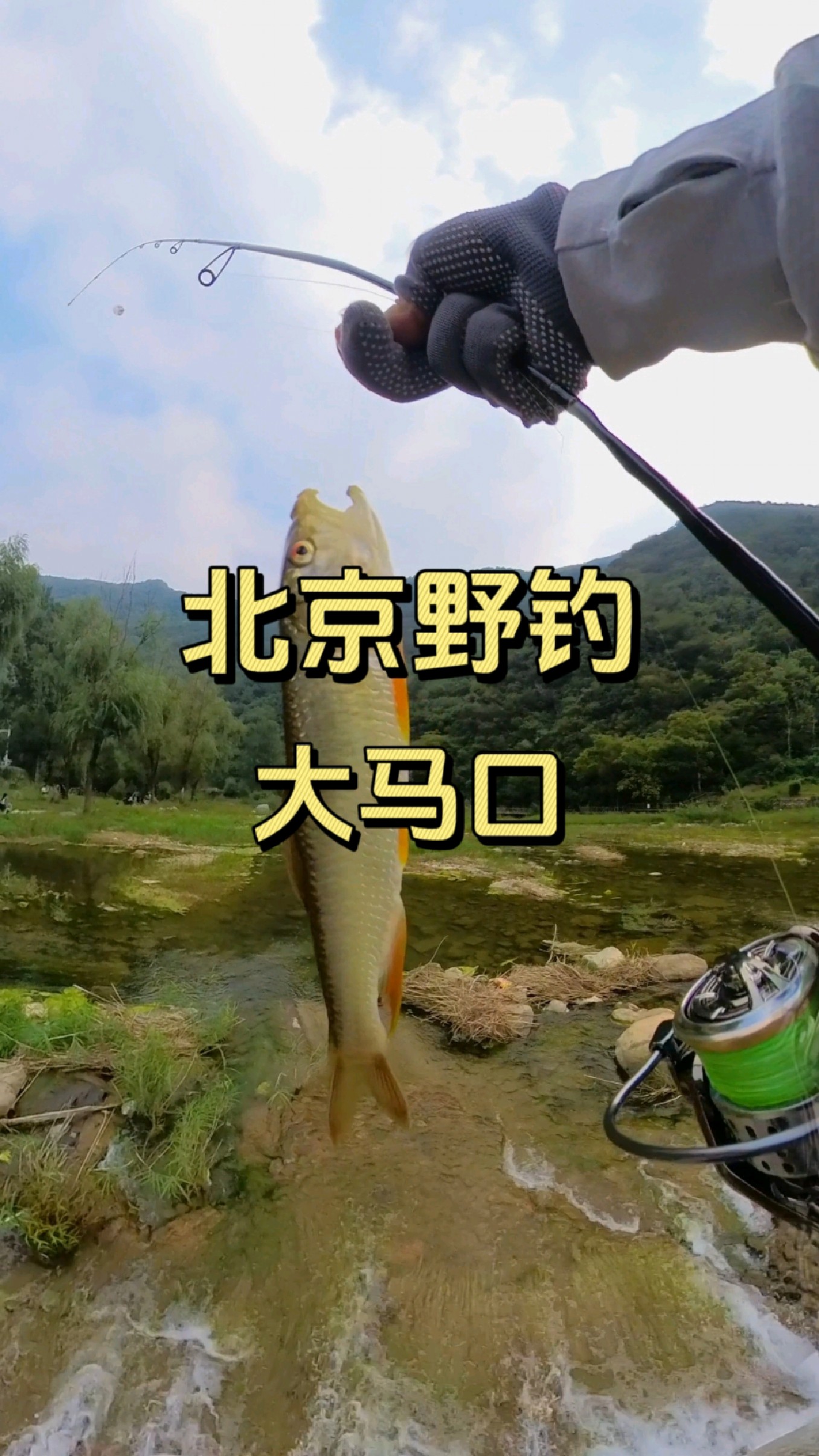 路亚真的能上鱼,中鱼感觉太棒了
