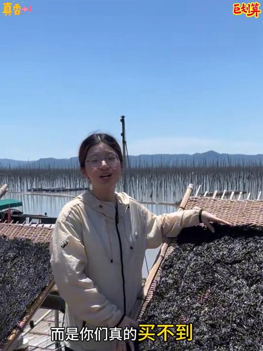 每期一个家乡风物霞浦的头水紫菜被称为人间第一香