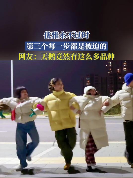优雅永不过时,第三个每一步都是被迫的,网友:天鹅有这么多品种