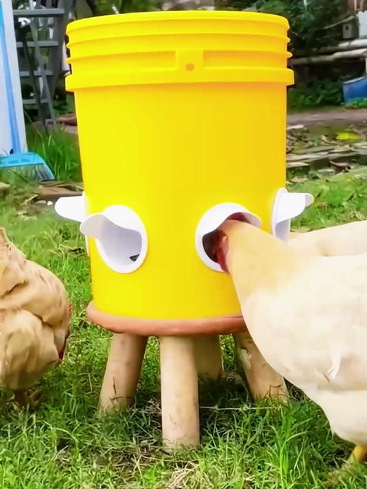 养殖场都在问:这个自动喂食器为什么这么火?