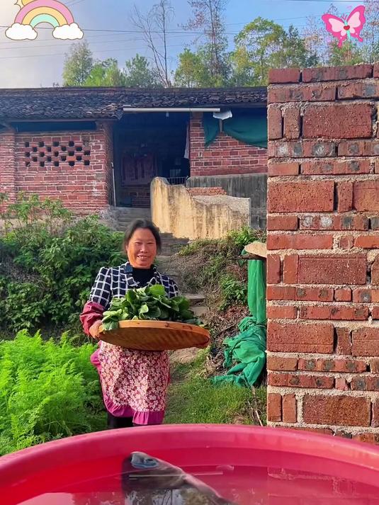 无沙梅干菜干货 农家直供味正宗