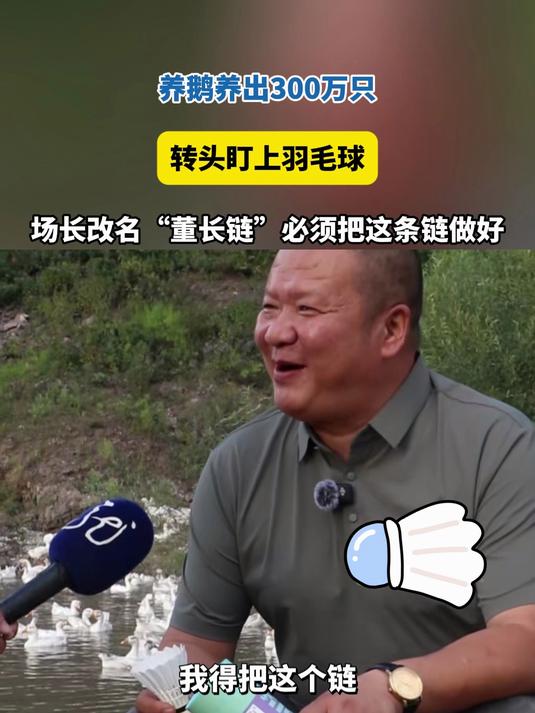 养鹅养出300万只盯上羽毛球，场长改名“董长链”把这条链做好