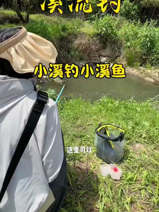 小溪钓小溪鱼