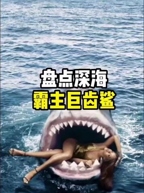 盘点深海霸主巨齿鲨