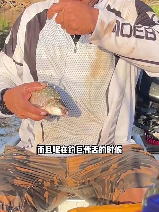 鱼种大对决 巨骨舌鱼PK蓝鳍金枪鱼!是淡水之王还是海水之皇赢?