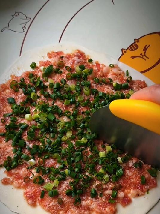 今天给大家分享一个葱花肉饼的做法