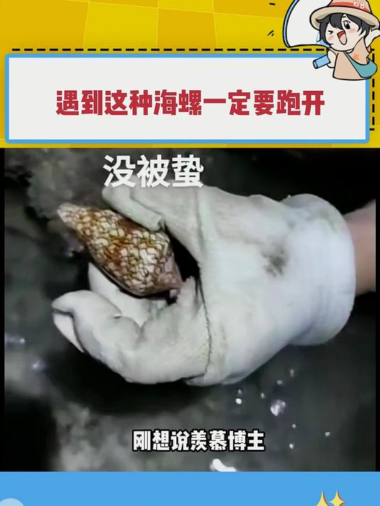 一个爱去海边捡海螺的小女孩轻轻的碎了