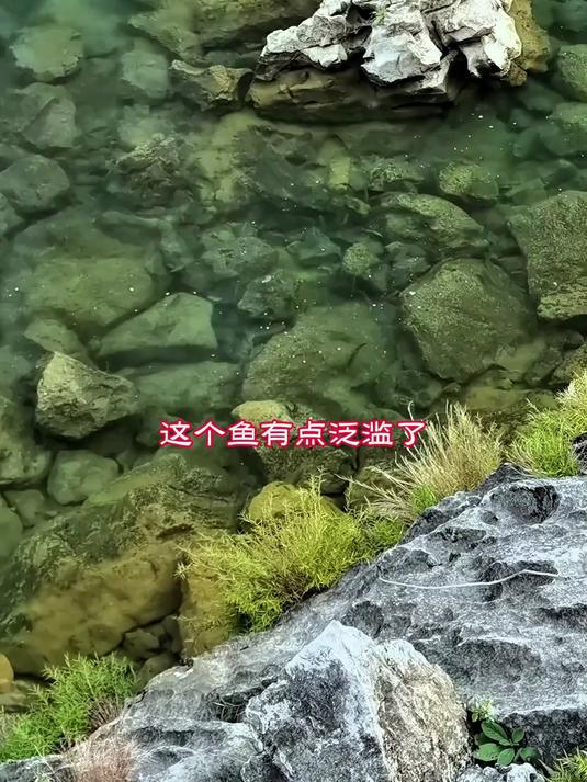 又是一个风景绝佳鱼资源丰富的地方