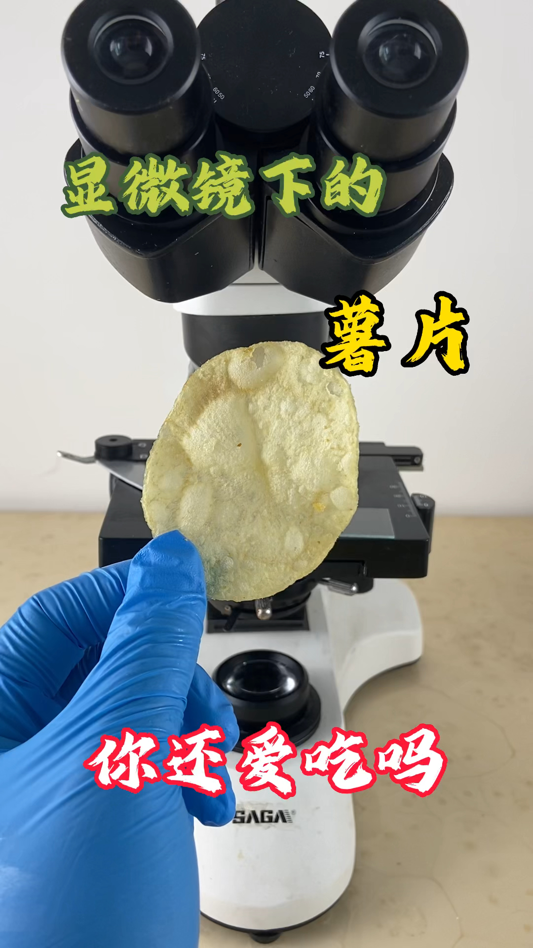 看看显微镜下的薯片是什么样的