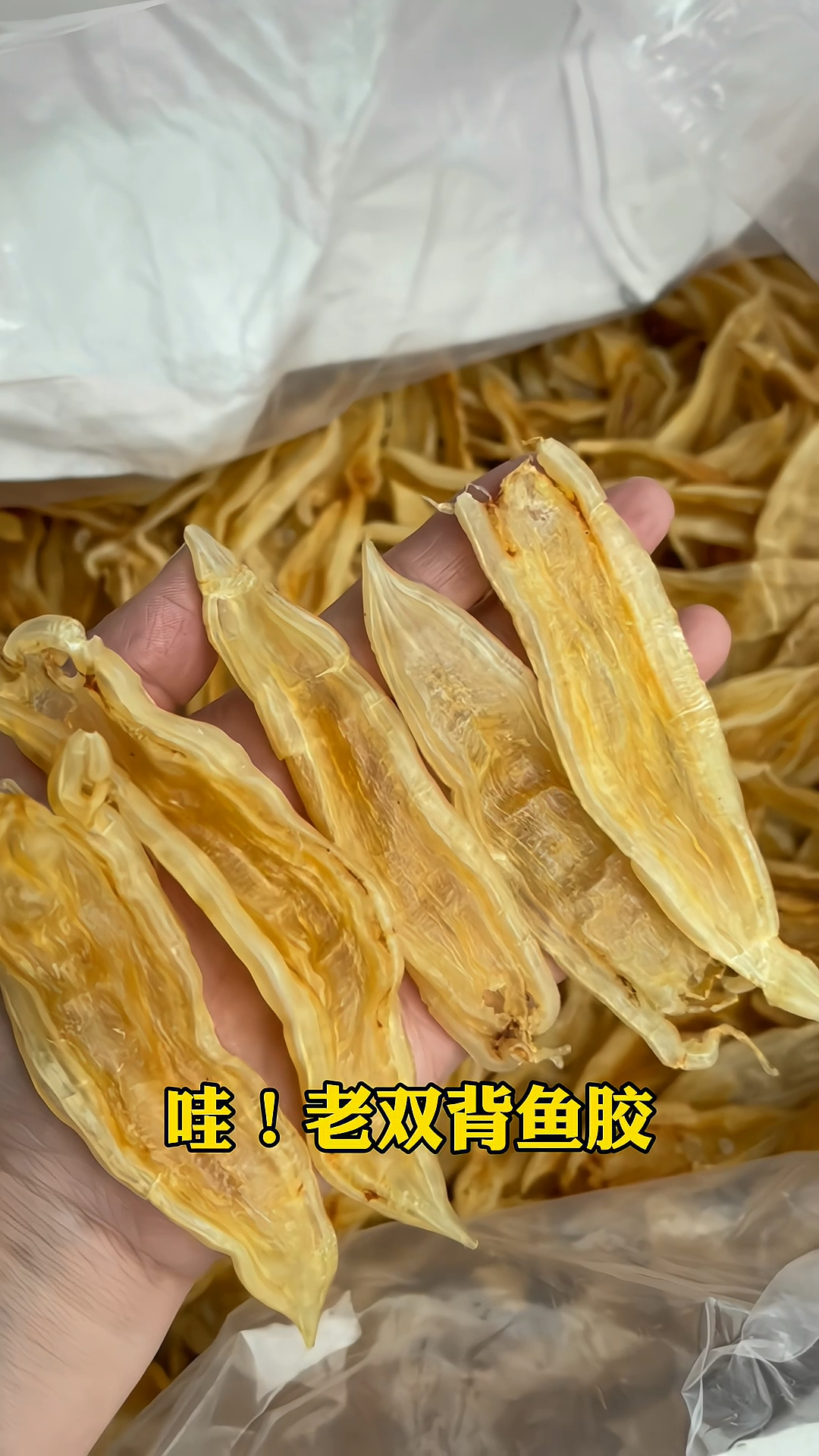 女人吃鱼胶,30天后你会变成这样...爱美的你一定要看!