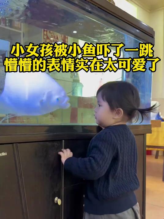 小女孩被小鱼吓了一跳,懵懵的表情实在太可爱了